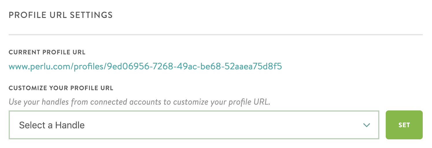 change URL handle on influencer Perlu profile